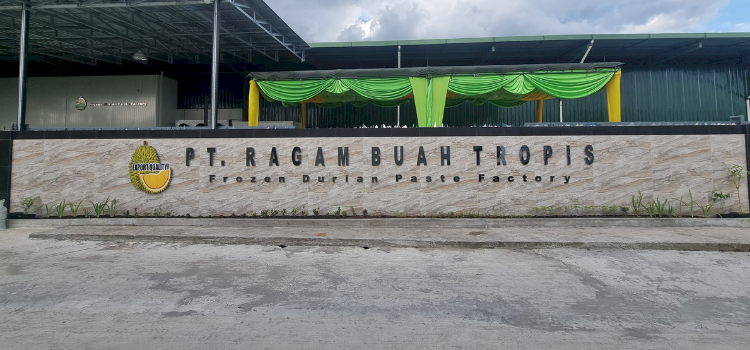 Durian puree supplier