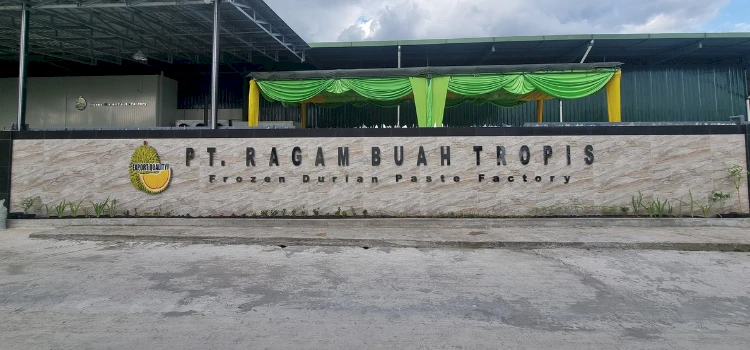 Durian puree supplier